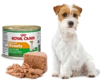 Royal Canin (Роял Канин) Adult Beauty консервы для взрослых собак мелких пород 195г Royal Canin (Роял Канин) Adult Beauty консервы для взрослых собак мелких пород 195г